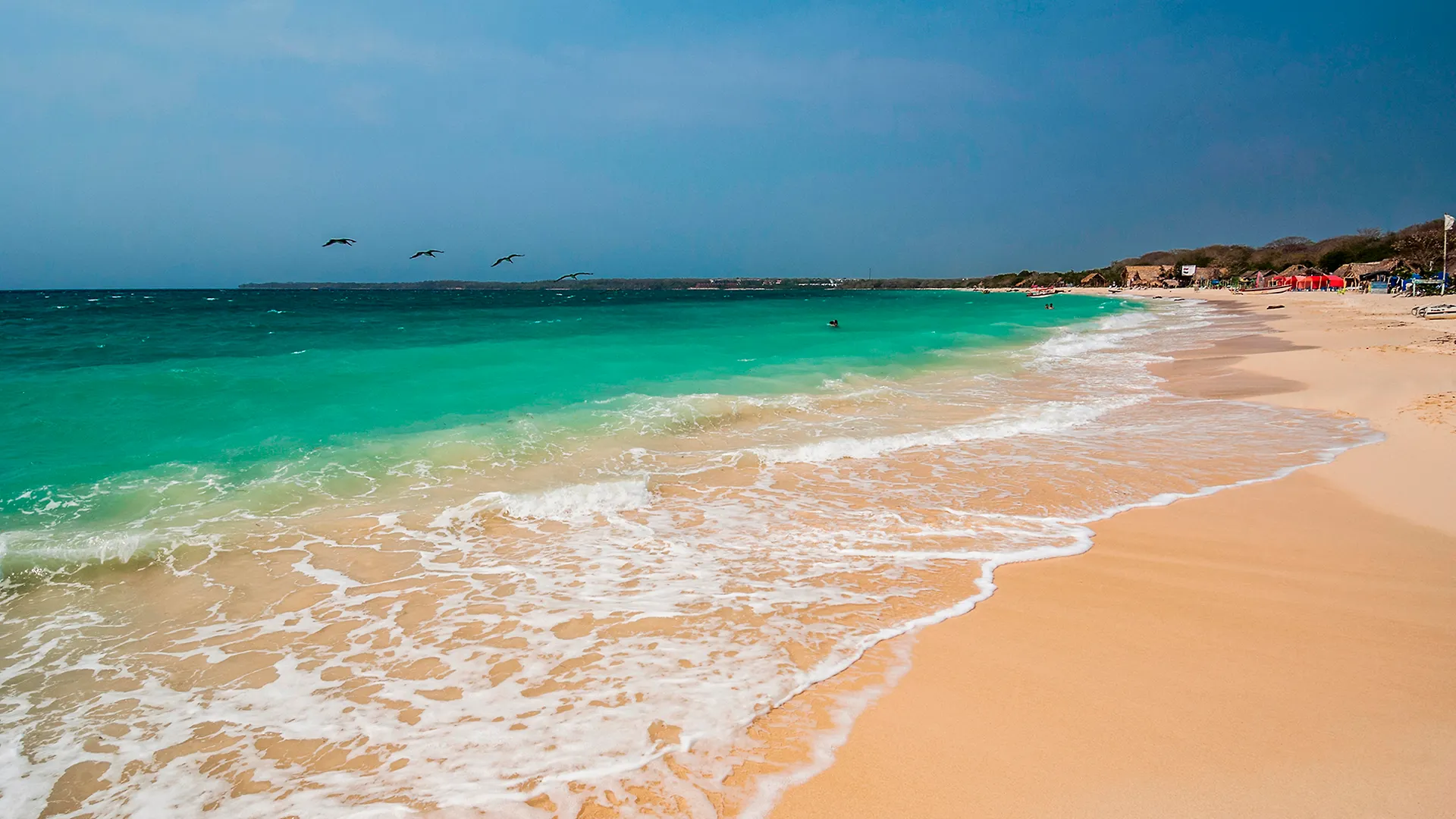 Oz Hotel Luxury Cartagena كولومبيا